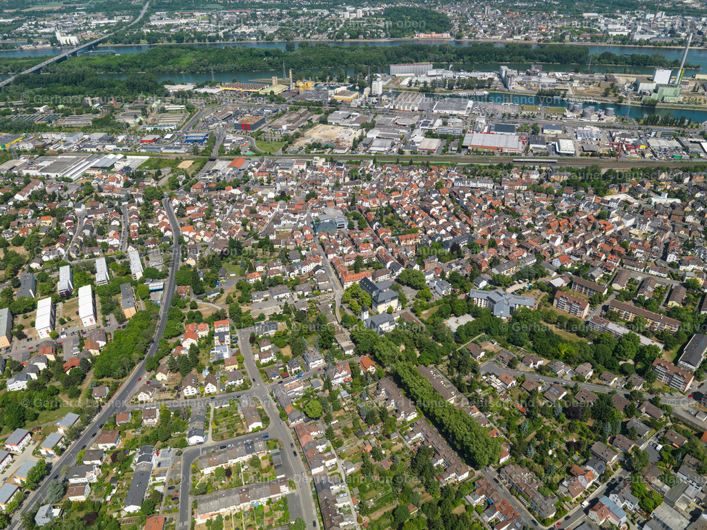 3108030 | Mombach, Mainz