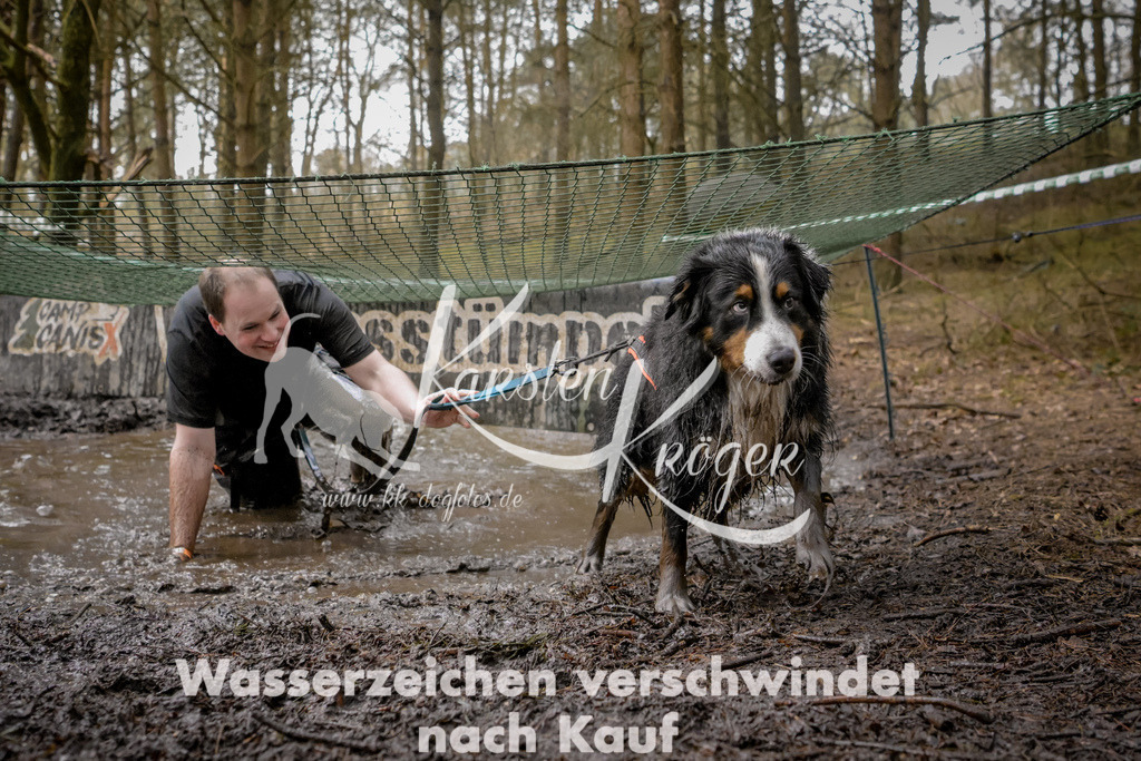 0958_ZZ98981 | kk-dogfotos