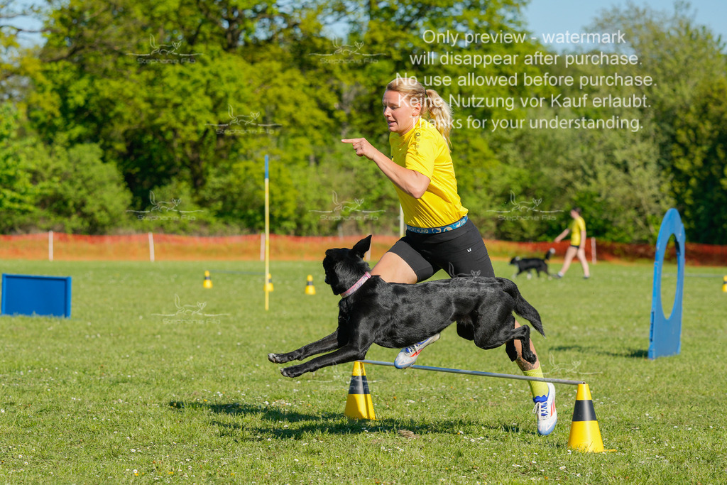 Sa_CSC-356 | stephaniefillaphotographie - Realisiert mit Pictrs.com