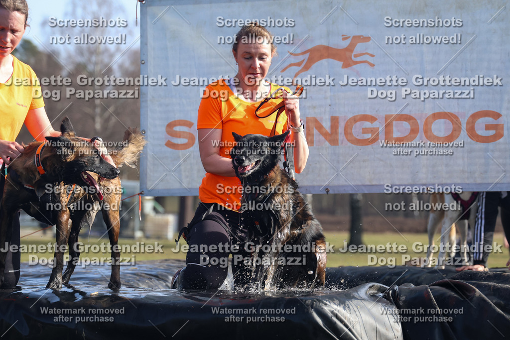Dog Paparazzi - Strongdog North Mrz26-1252 | Dog Paparazzi Jeanette Grottendiek Fotografie & Videografie - Realisiert mit Pictrs.com