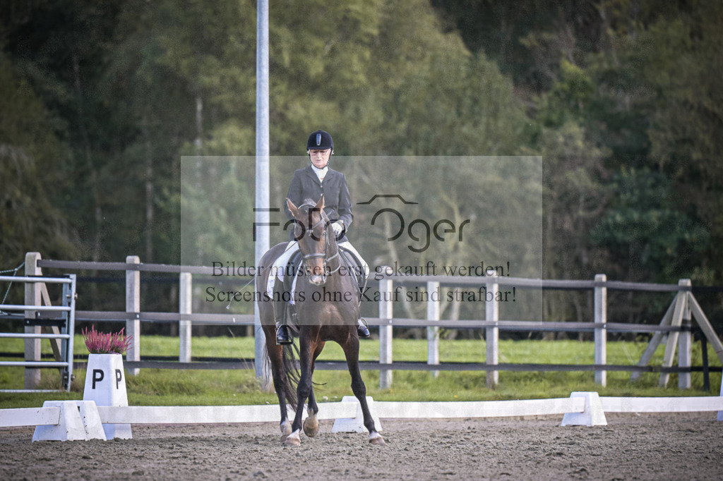 DOS_3980 | Entdecke hochwertige Reitturnierfotos von Foto Oger. Professionell, emotional und authentisch – jetzt Lieblingsmomente im Shop bestellen.Deutschlandweite Turnierfotografie. - Realisiert mit Pictrs.com