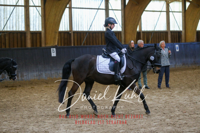 IMG_1470 | Turniersportfotografie; Pferdefotografie; Dressurfotografie