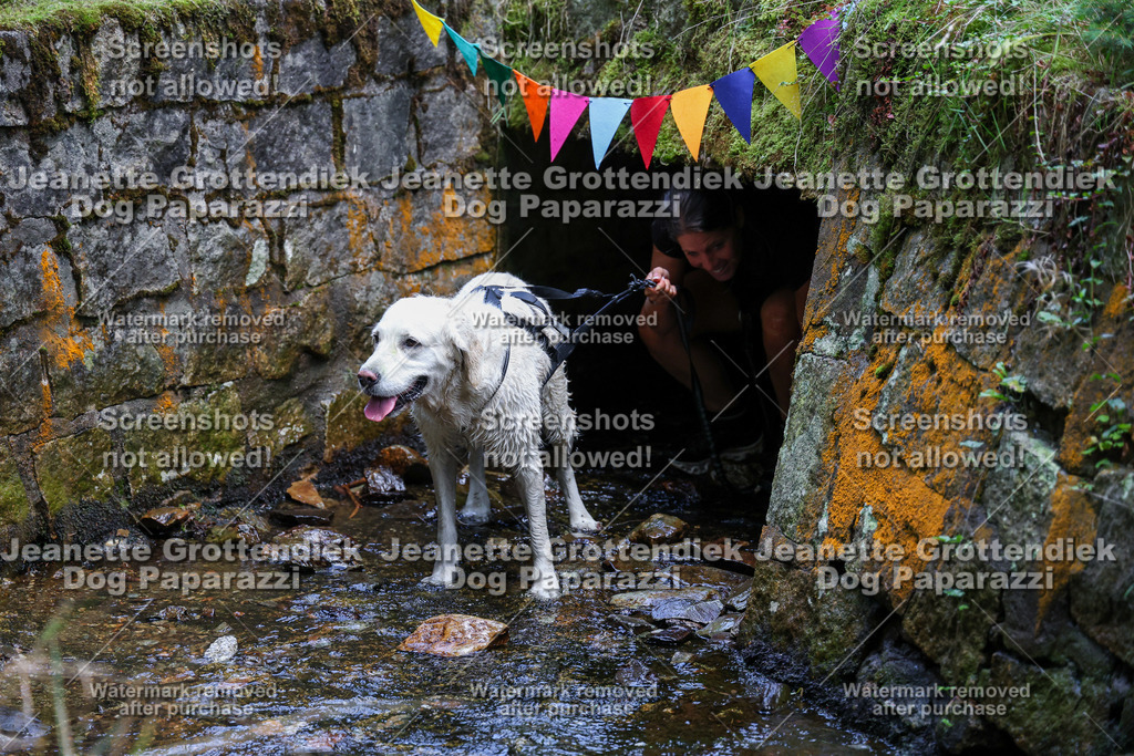 Dog Paparazzi -  TH 26-566 | Dog Paparazzi Jeanette Grottendiek Fotografie & Videografie - Realisiert mit Pictrs.com