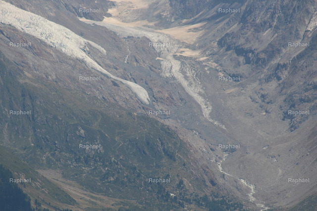 IMG_3295 | Raphael - Realisiert mit Pictrs.com