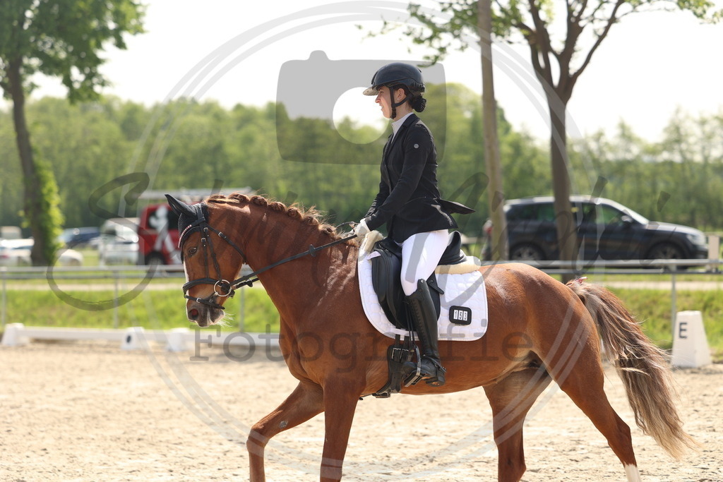 994A6744 | sabrinanicolaifotografie - Realisiert mit Pictrs.com