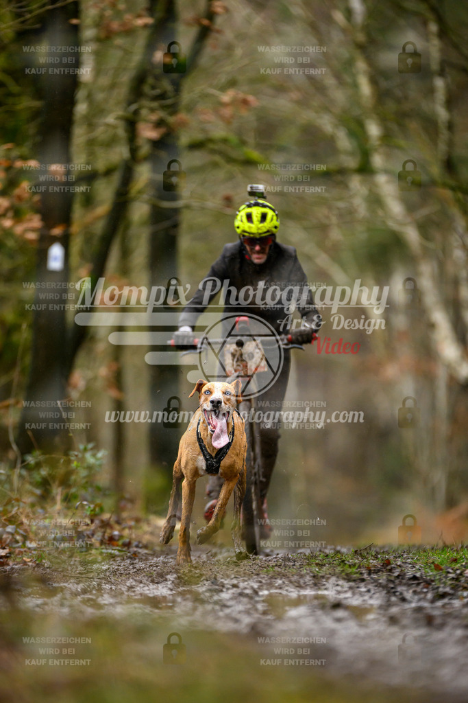 MompixPhotography_CDSM24_SA_DS1-22 | PayLife