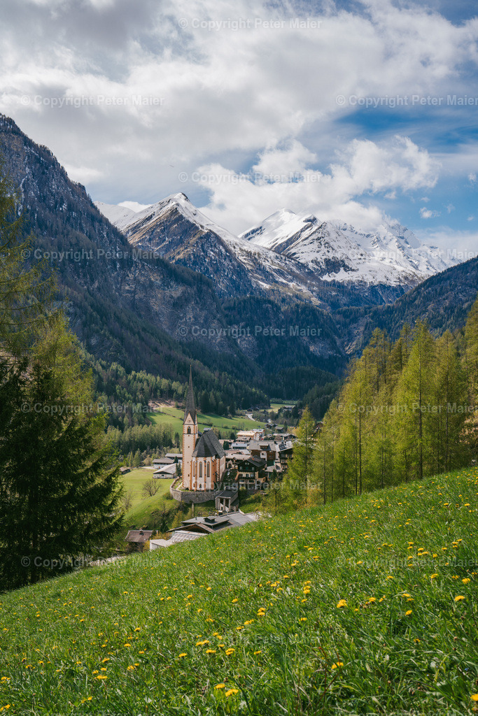 Frühling-Mölltal-123 | piet_flosse