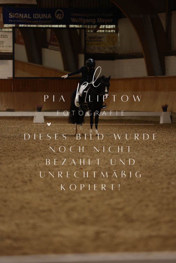 IMGM9194 | pl-fotografie