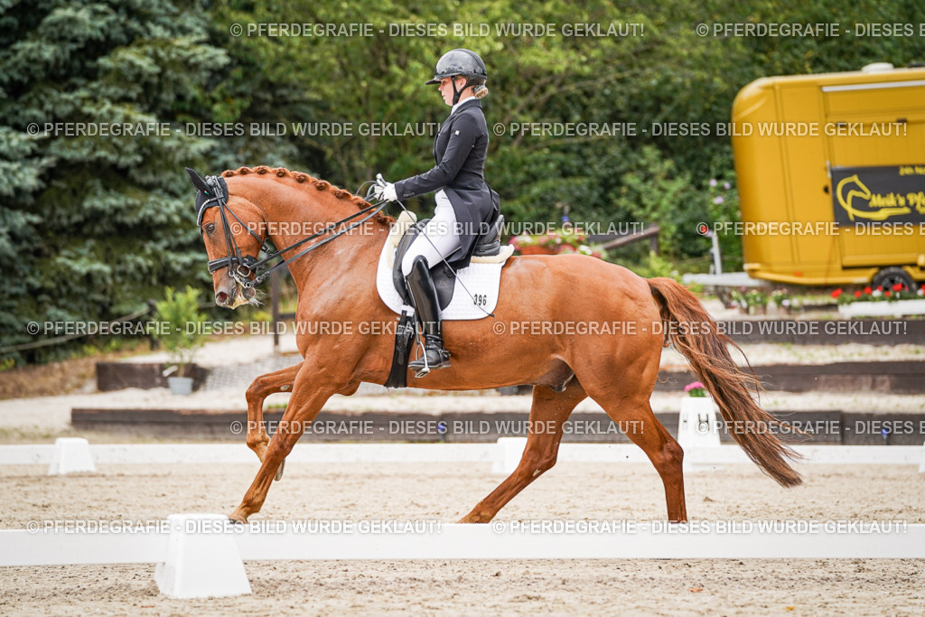 DSC05263 | Pferdegrafie