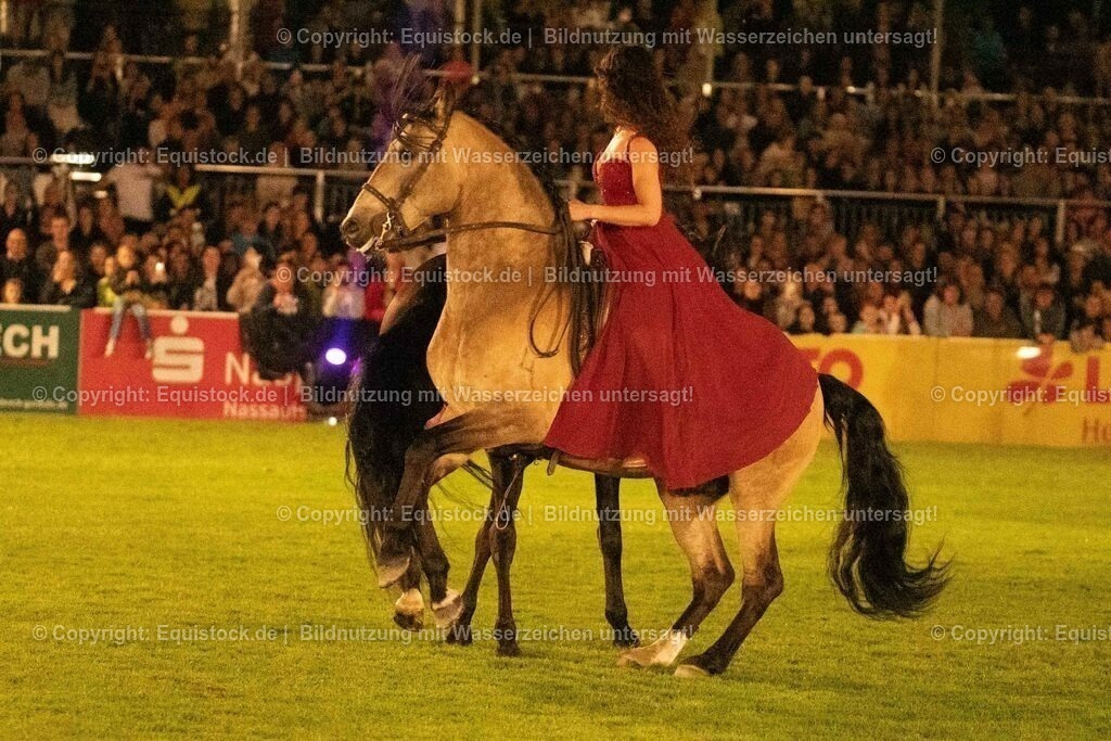 20230526_Pferdenacht_1426 | equistock