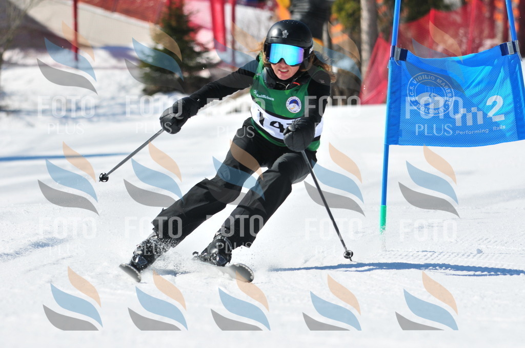 C4009 | holidayphoto