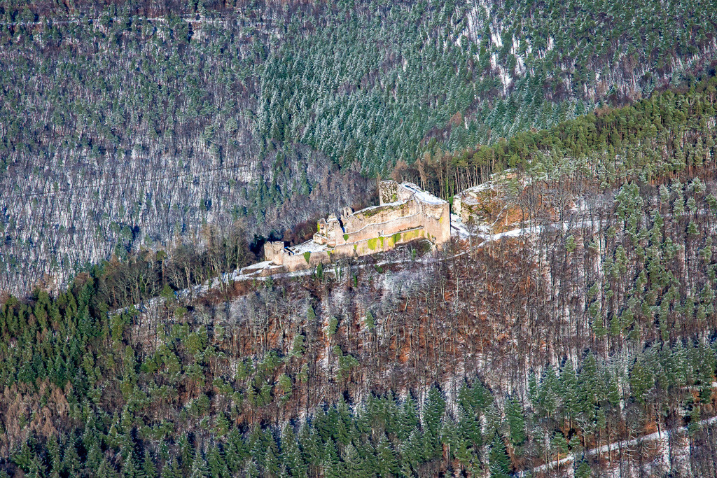 Luftbild: Burgruine Neuscharfeneck aus Süden im Winter bei Schnee in Flemlingen im Bundesland Rheinland-Pfalz in Deutschland. Foto: IMG_139847.jpg vom 20.01.2024 durch Werner Riehm/FLY-FOTO.de