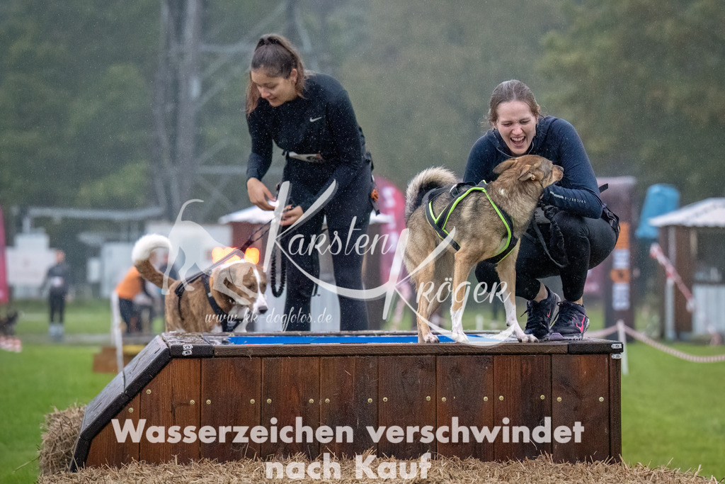 0906-_ZZ93142-Bearbeitet | kk-dogfotos