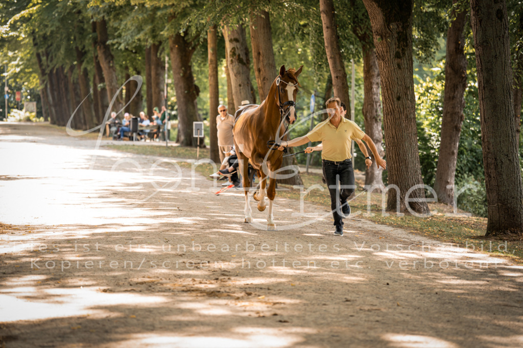 FrPfM00243 | Leoni Ertmer Photography - Realisiert mit Pictrs.com