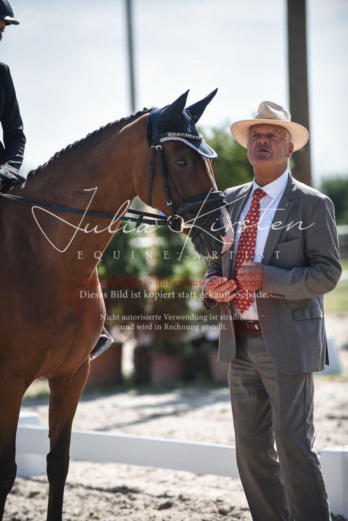 DSC_8752 | Pferde- und Turnierfotografie in Westsachsen. Pferdeportraits, Auftragszeichnungen und intuitive Kunst.