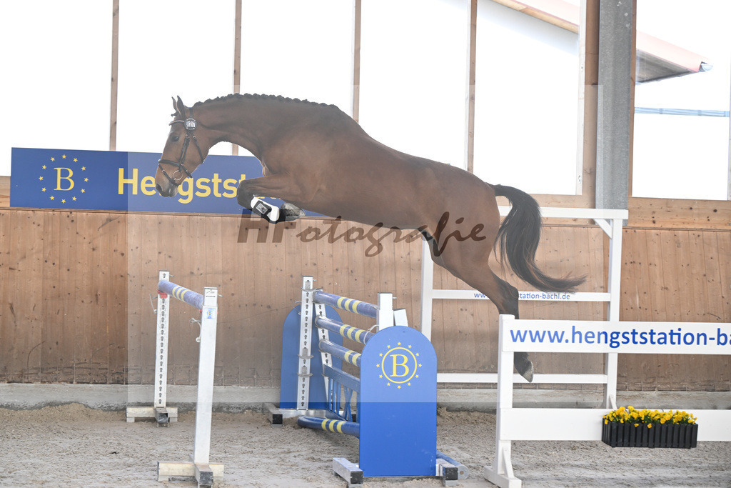 Kat-Nr. 27 Dakota H v. Vingino_Hoffmeister_14260864 | hf-fotografie - Realisiert mit Pictrs.com