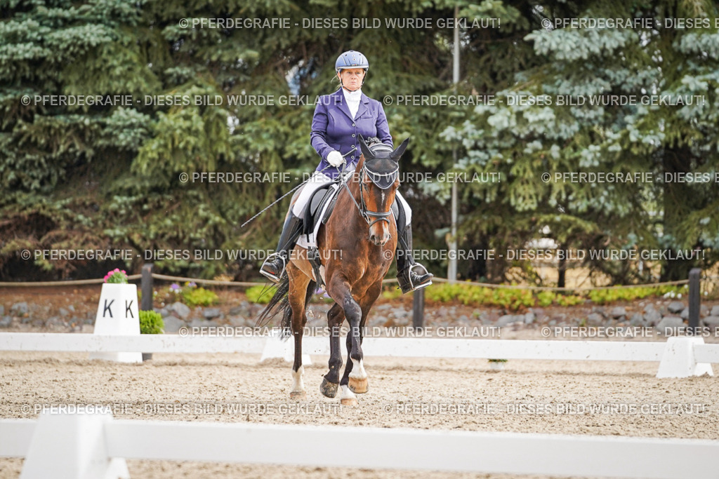 DSC01996 | Pferdegrafie