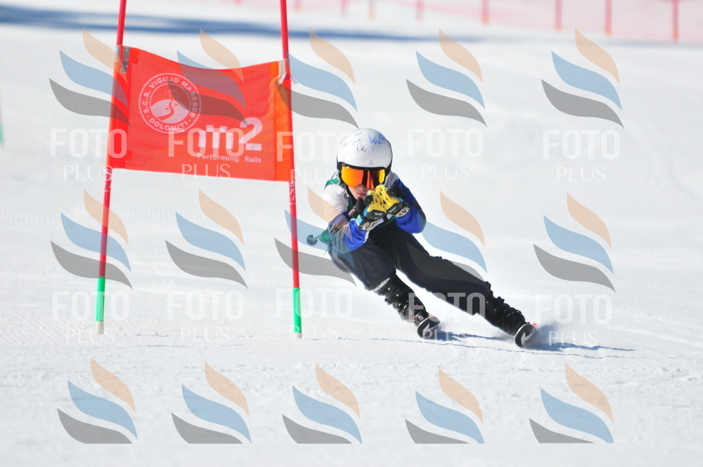 C3719 | holidayphoto