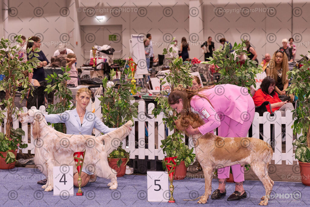 202406_ÖKV-IHA-Tulln24_NZ9_9548 | proPHOTO - Realisiert mit Pictrs.com