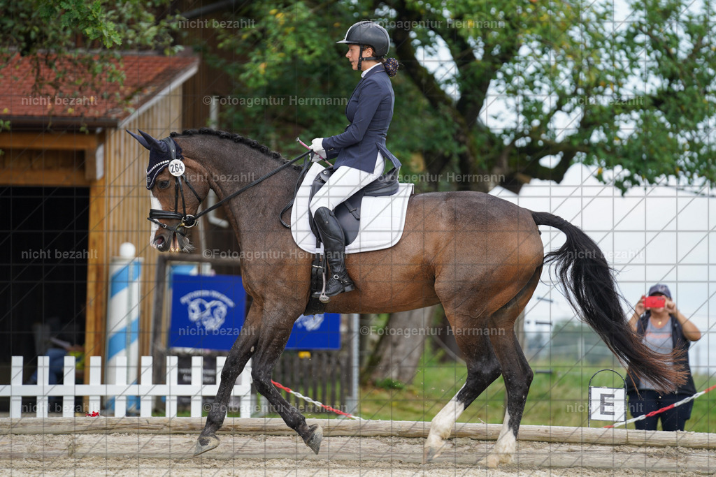 20230826-FAH05195 | Forstinning, 2023, Dressurturnier, Turniersportbilder, Turnierfotografen Bayern, Fotoagentur Herrmann, Reitsportfotografie, Turnierbilder