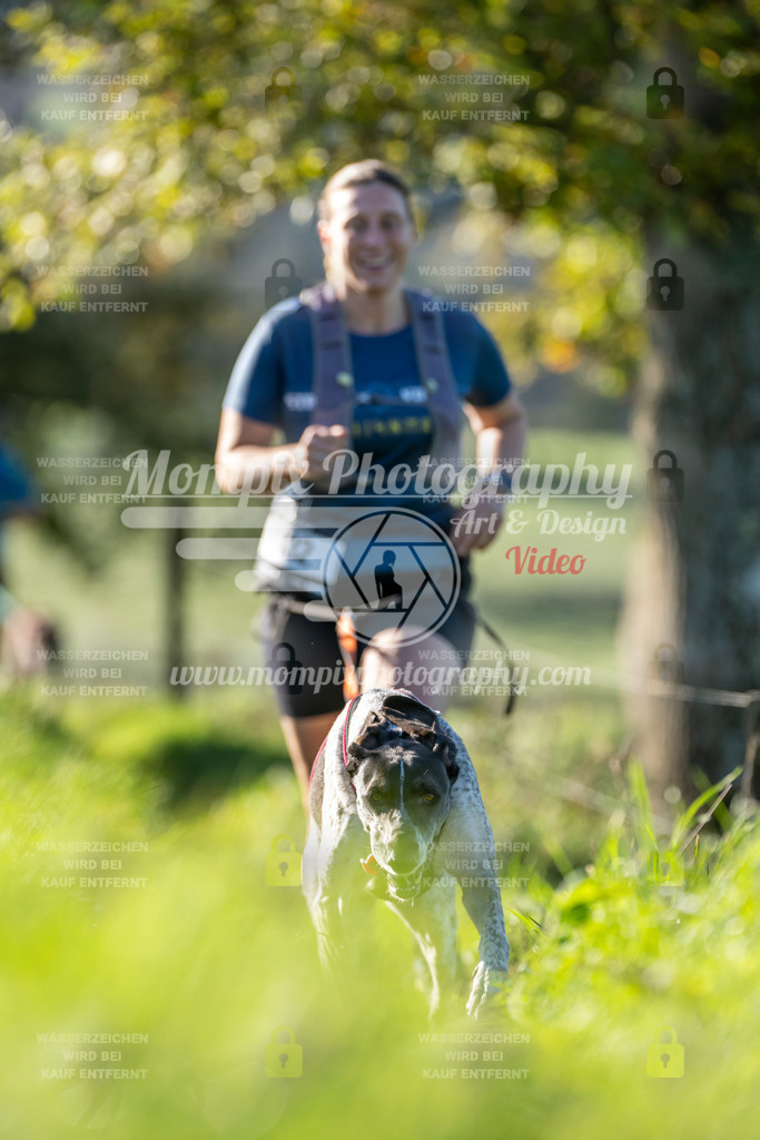 MompixPhotography_20TSB_E3_Run-118 | PayLife