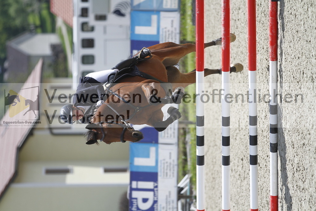 _MG_1949 | equestrian-live-com