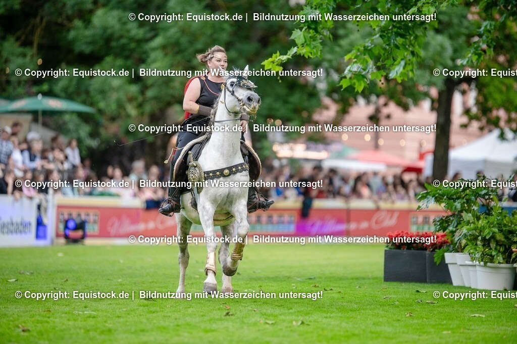 20250606_Lange-Pferdenacht_0377 | Foto: Thomas Hartig
