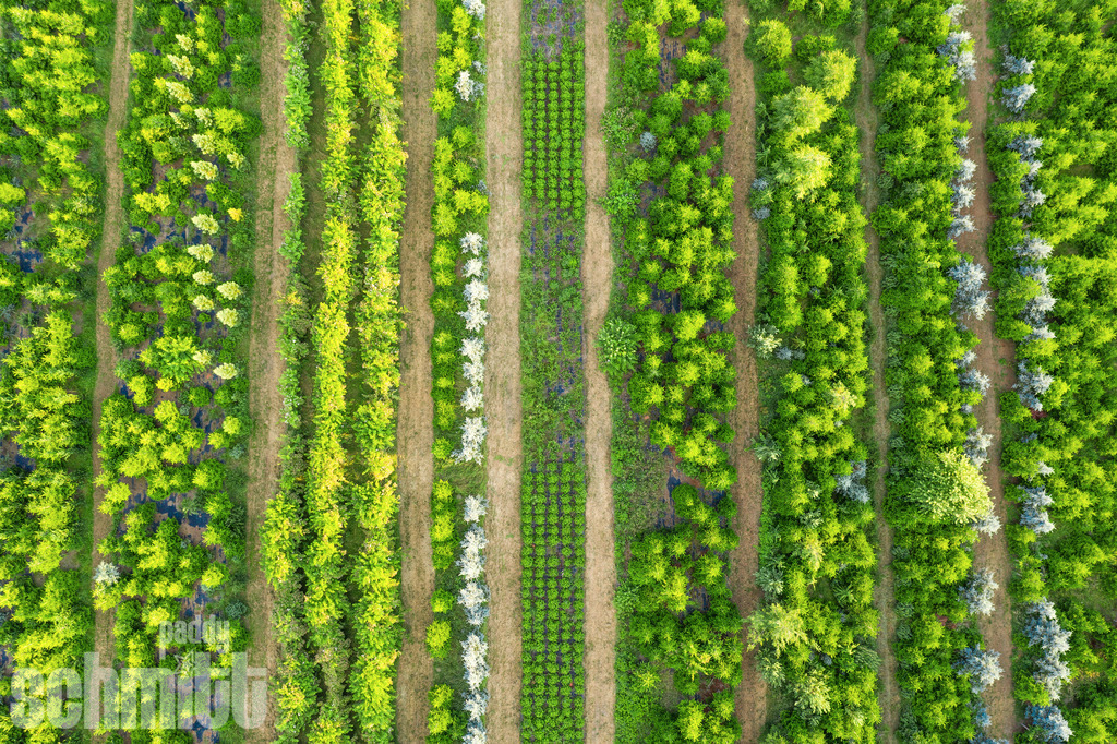 PS-Aerials-2026-83 | Entdecke die größte Bildgalerie der Region mit Fotografien aus dem Allgäu, der Bodenseeregion, Oberschwaben, dem Donautal und der Schwäbischen Alb. Landschaften, Luftaufnahmen und Reisefotografie als Wandbild und Fotokunst. - Realisiert mit Pictrs.com