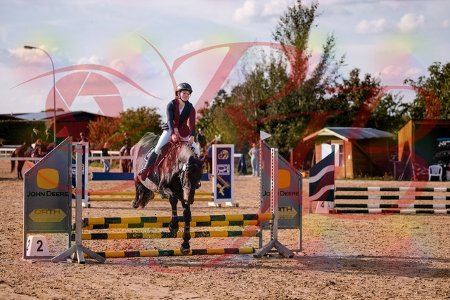 2026_10_03_Siefer-Hof_160055_Z81_81572223 | Professionelle Reitsport-, Turnier- und Eventfotografie von Robert Broda. Galerien mit ausgewählten und bearbeiteten Bildern direkt online ansehen und bestellen.