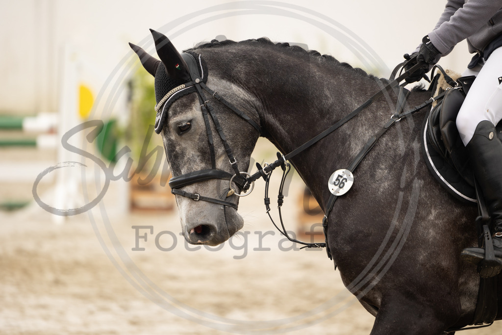 994A0187 | sabrinanicolaifotografie - Realisiert mit Pictrs.com