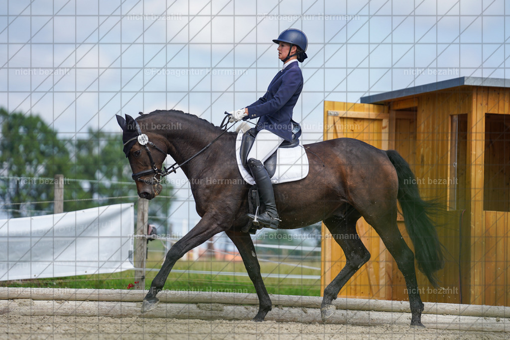 20230826-FAH05523 | Forstinning, 2023, Dressurturnier, Turniersportbilder, Turnierfotografen Bayern, Fotoagentur Herrmann, Reitsportfotografie, Turnierbilder