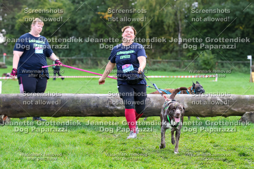 Dog Paparazzi -  SD1026-2068 | Dog Paparazzi Jeanette Grottendiek Fotografie & Videografie - Realisiert mit Pictrs.com