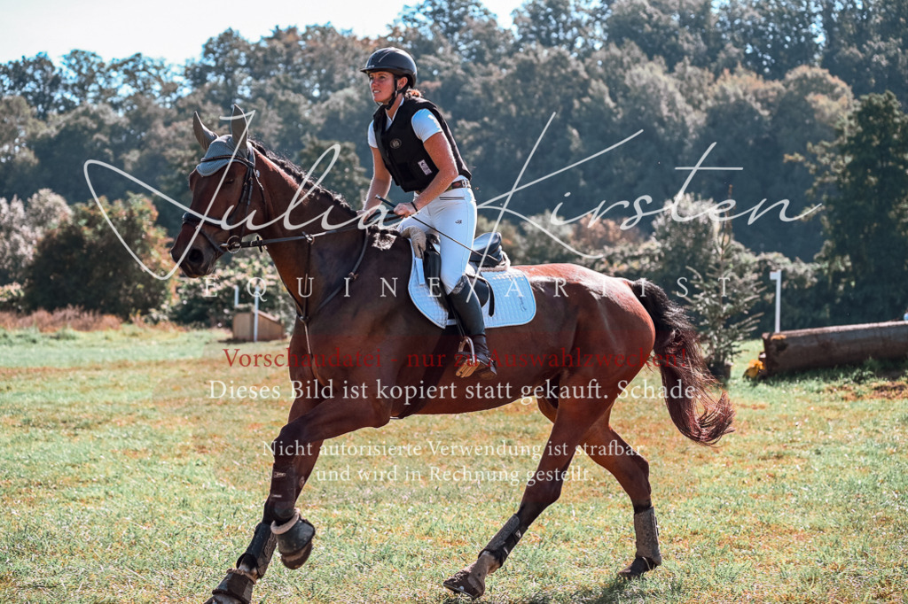 DSC_0986 | Pferde- und Turnierfotografie in Westsachsen. Pferdeportraits, Auftragszeichnungen und intuitive Kunst.
