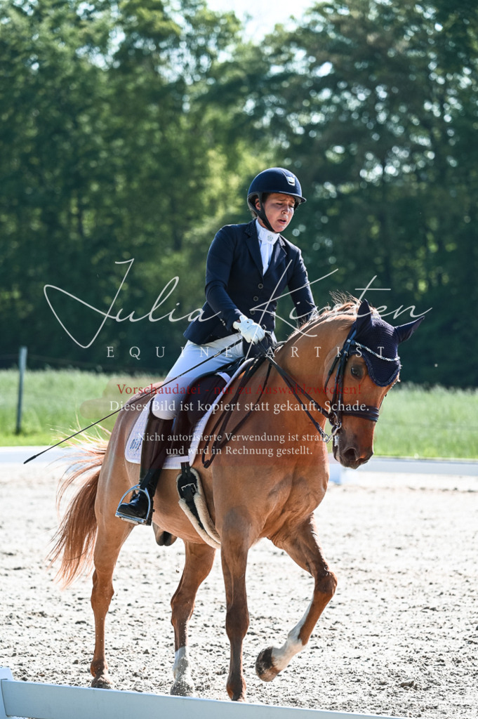 20230514_JK-Röhrsdorf-18-317 | Pferde- und Turnierfotografie in Westsachsen. Pferdeportraits, Auftragszeichnungen und intuitive Kunst.