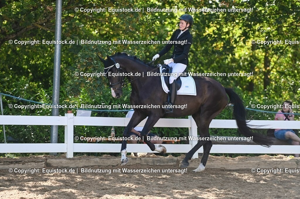 20230715_06_Dressurpferdeprfg. Kl.A_0377 | equistock