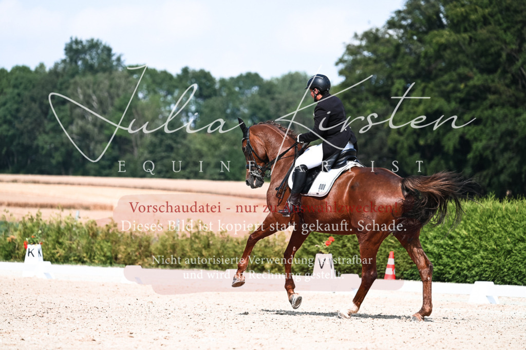 DSC_3280 | Pferde- und Turnierfotografie in Westsachsen. Pferdeportraits, Auftragszeichnungen und intuitive Kunst.