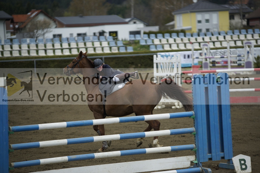 _DSC7161 | equestrian-live-com
