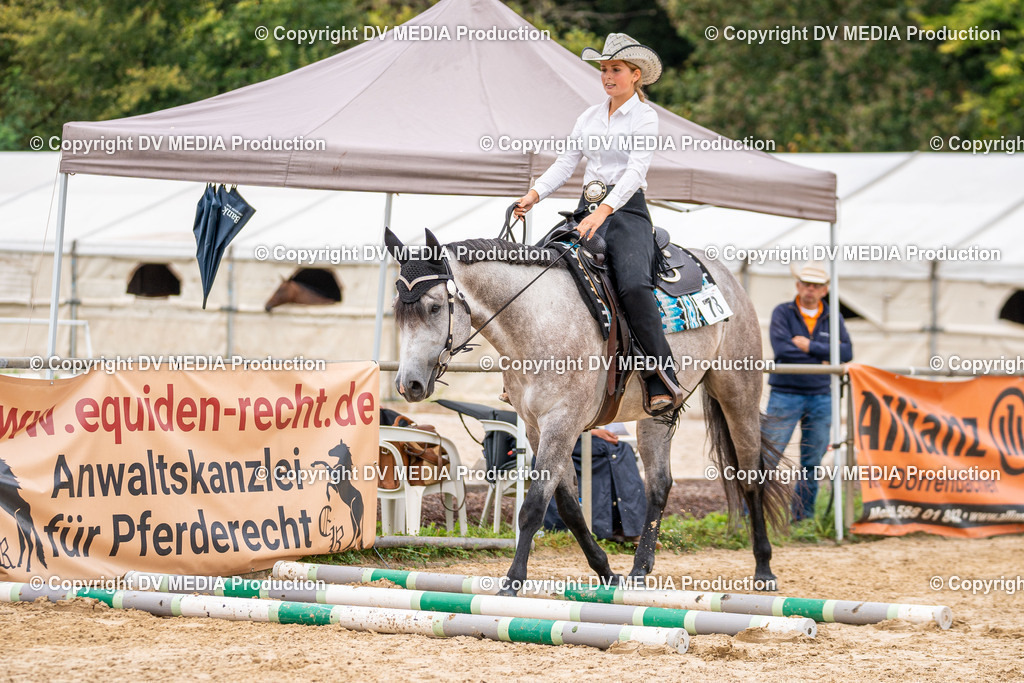 LM Heiligenwald Tag 3-942 | dv-media-shop - Realisiert mit Pictrs.com