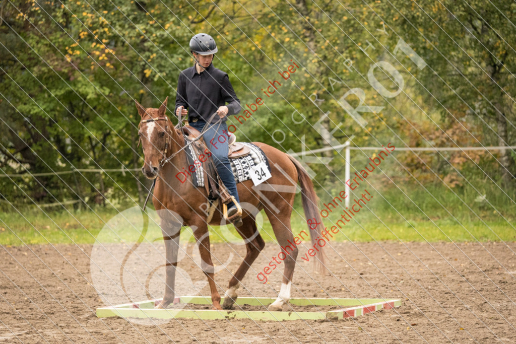 CON_8498 | Sport-, Event- und Tierfotos in Profiqualität. Einfach auswählen, bestellen und herunterladen. Dein Moment – perfekt festgehalten.