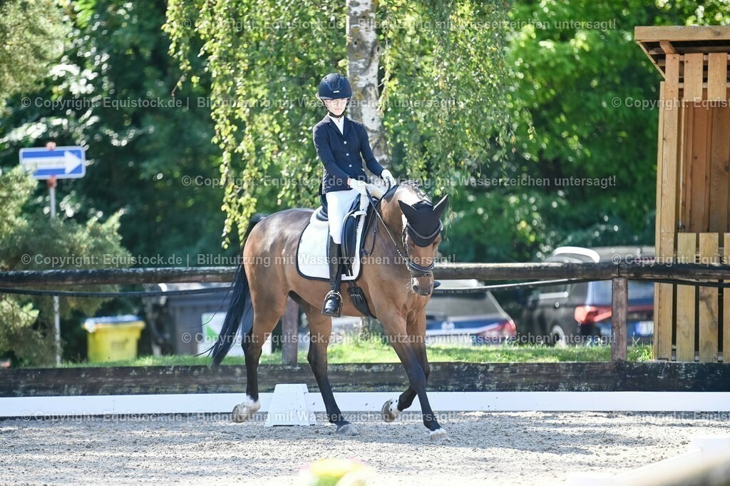 20230908_06_Dressur-L-Trense_0291 | equistock