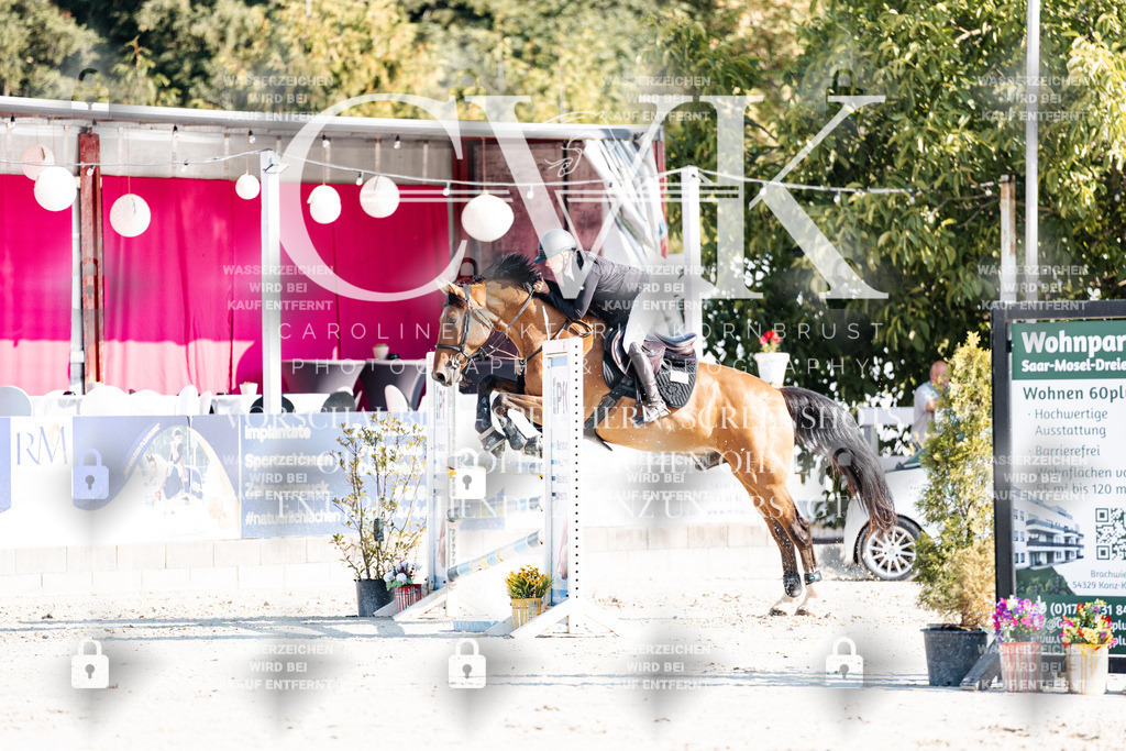CK901855 | Turnierfotografie Pferdefotografie Trier Rheinland-Pfalz Pferdesport Reitsport Tierfotografie Sportfotografie Pferdevideo Pferdevideografie Equestrianvideography equestrianphotography  - Realisiert mit Pictrs.com