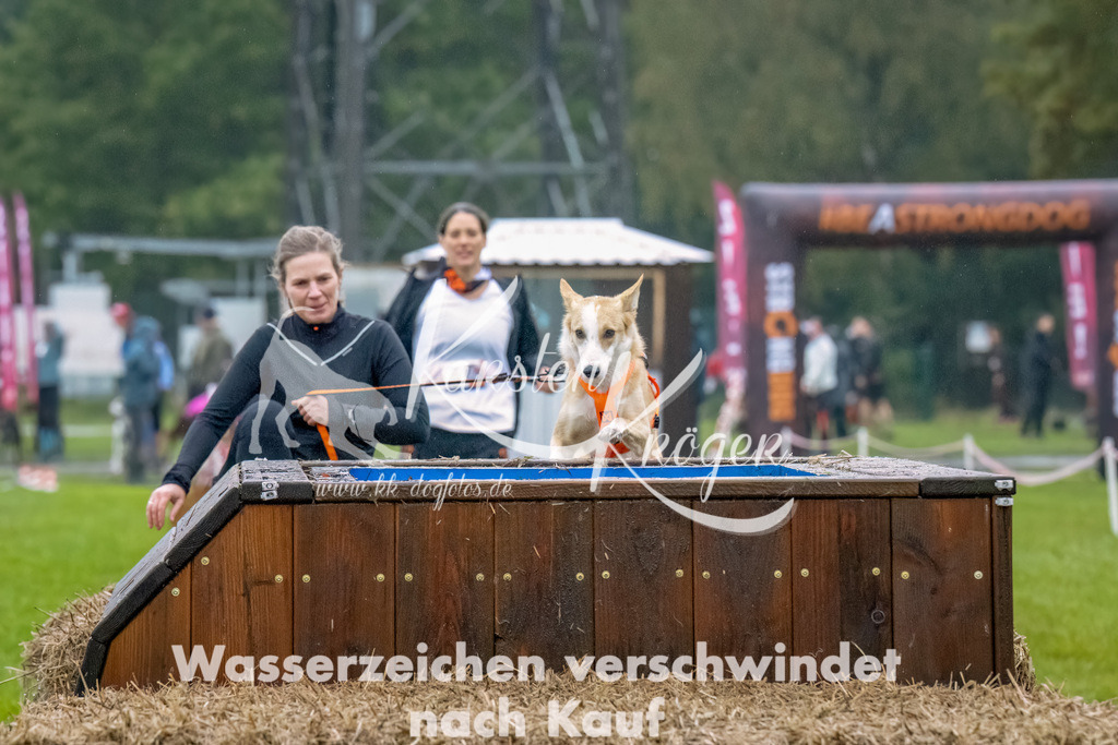 1021--7 | kk-dogfotos