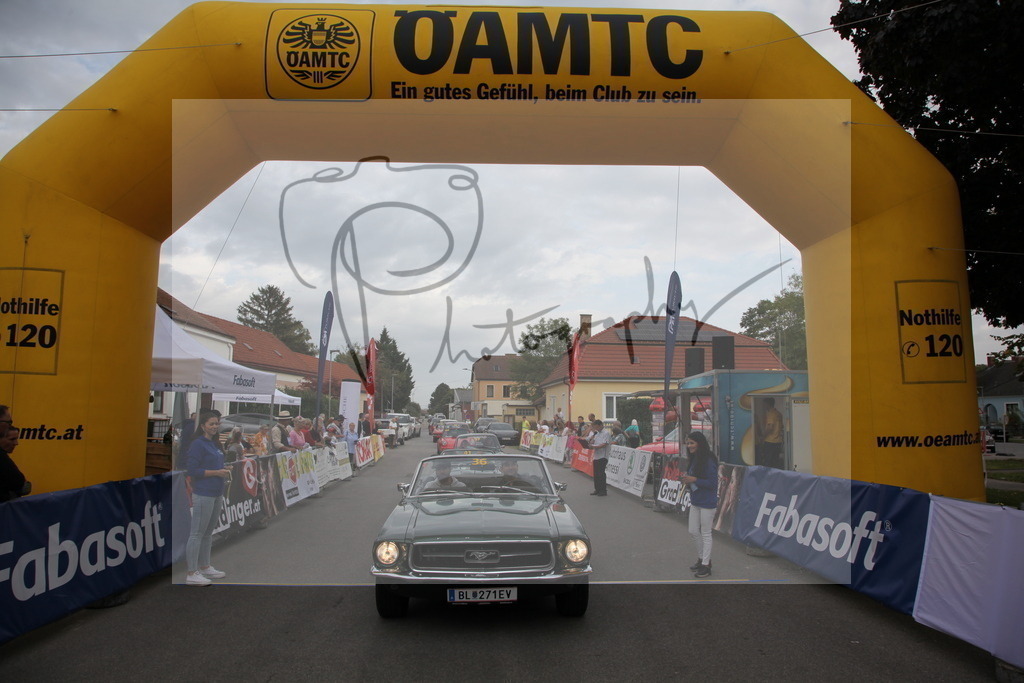 IMG_6061 | Gerhard Witt