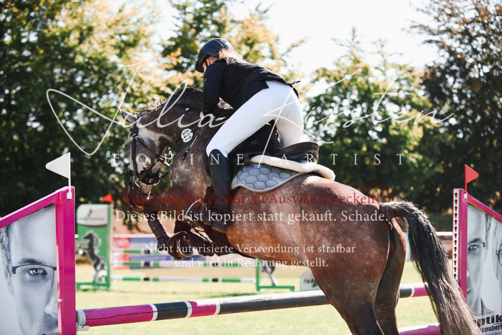 DSC_2559 | Pferde- und Turnierfotografie in Westsachsen. Pferdeportraits, Auftragszeichnungen und intuitive Kunst.