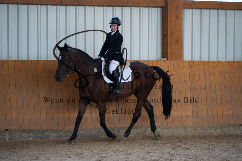 A7V02155 | Turnier/Reitfotograf