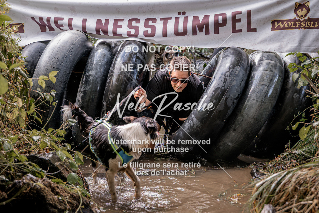 nelerasche_Hunsrück2026_Sa1400-1500_172 | nelerasche