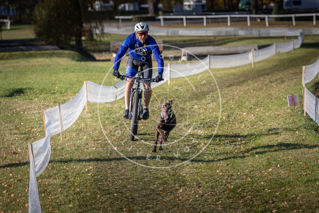 CaniXpix_DV3A3454 | Hundefotografie, Tierfotograf, Pfotenfotografie, Fotoshooting Hund, Hunde Portrait, Hundesport, Hundeportraits, Heideshooting, Hunde, Sportfotograf, Hundefotograf, Turnierhundsport, THS,  - Realisiert mit Pictrs.com