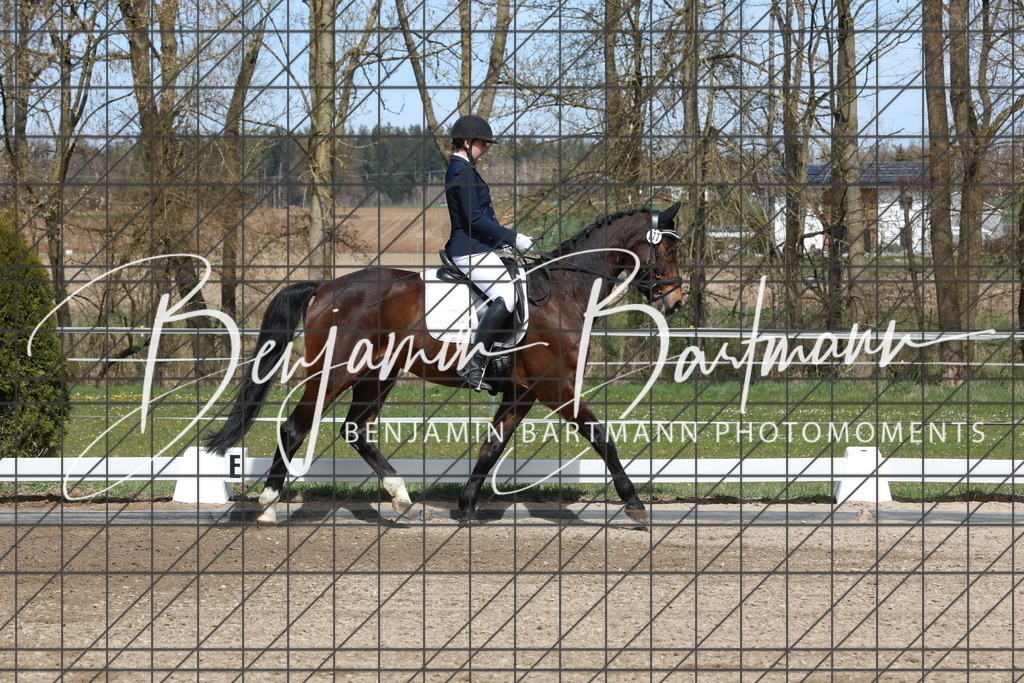 AZ2A3887 | Benjamin Bartmann Photomoments