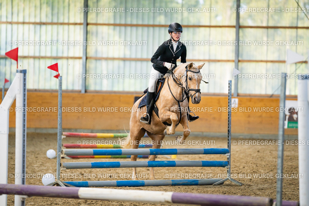 DSC00858 | Pferdegrafie