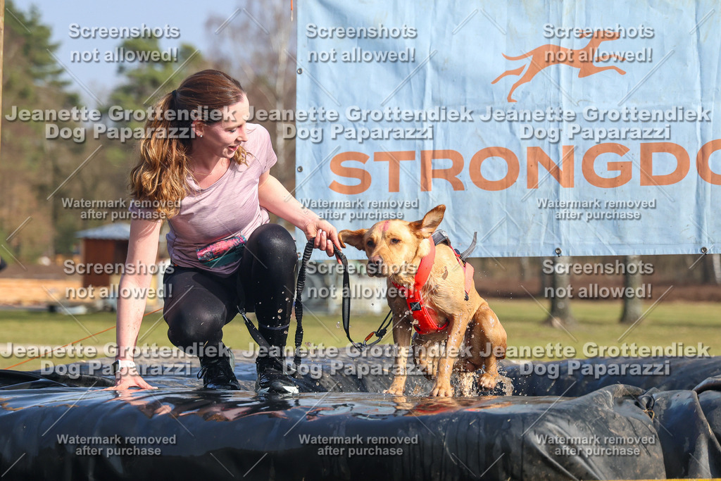 Dog Paparazzi - Strongdog North Mrz26-2718 | Dog Paparazzi Jeanette Grottendiek Fotografie & Videografie - Realisiert mit Pictrs.com